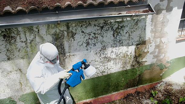 Top rated local Mold Remediation specialists in Oakland, TN